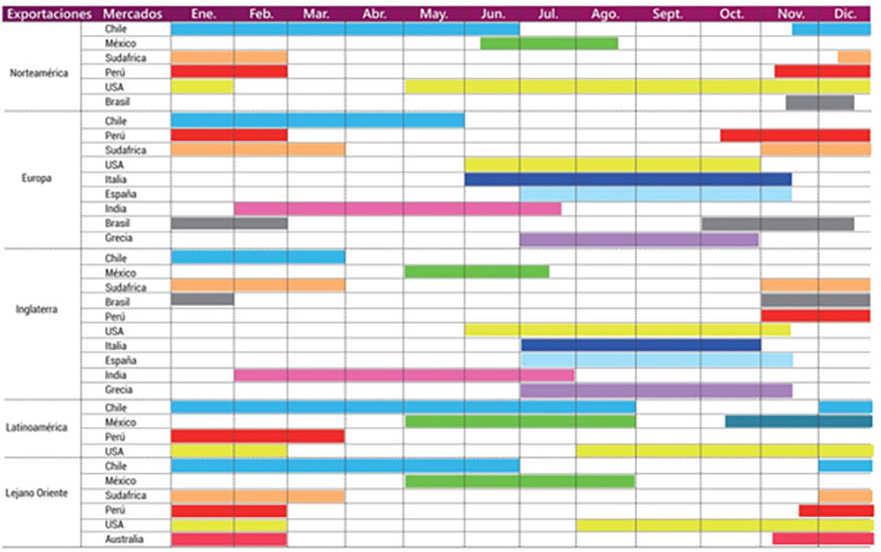 Calendario de Uva de Mesa Provid